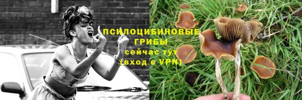 прущий лед Алексин