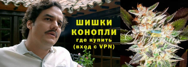 стаф Абинск