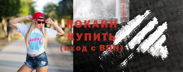 стаф Абинск