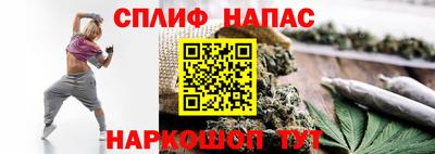 Альфа ПВП Обь