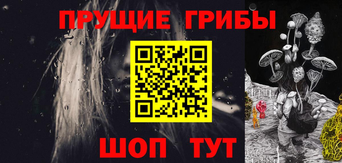 Одинцово  Псилоцибиновые грибы Psilocybe  Вход с VPN 