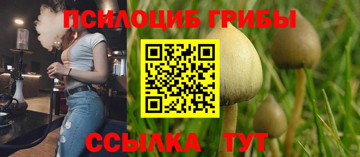 Псилоцибиновые грибы MAGIC MUSHROOMS Одинцово
