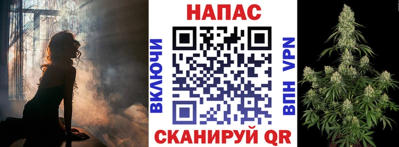 хочу   Одинцово  Конопля сатива 